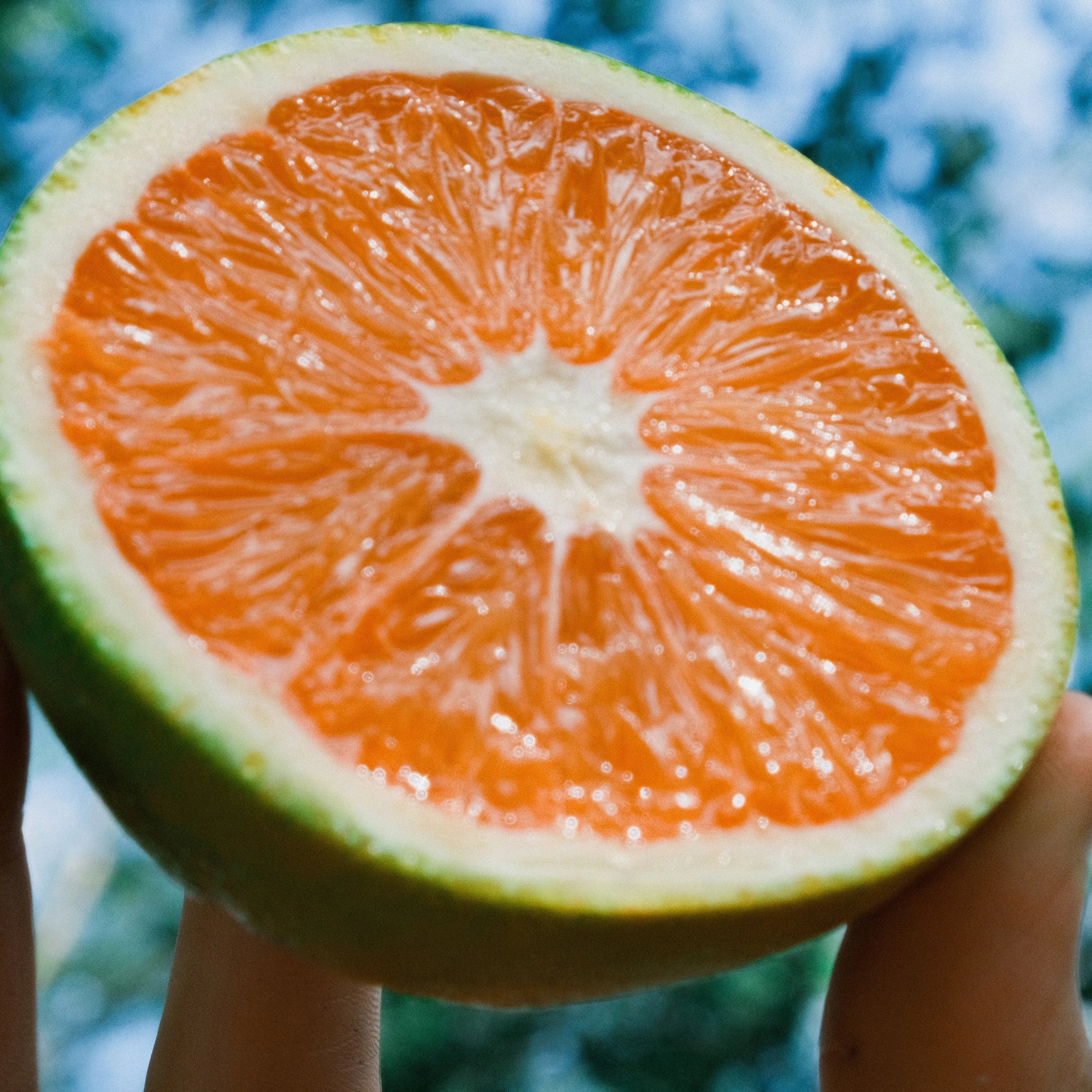 Hyaluronic Acid vs. Vitamin C: Which One Does Your Skin Need?