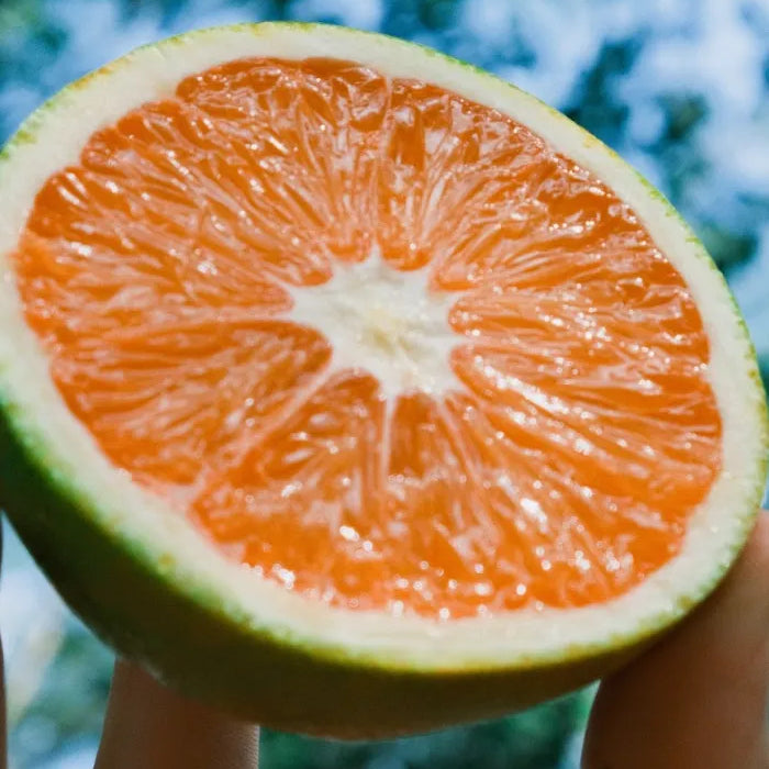 Why Dermatologists Call Vitamin C the MVP of Skincare