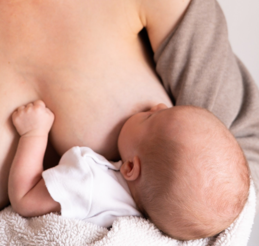 Breastfeeding and Immunity: How Maternal Digestion and Diet Influence Antibodies in Milk