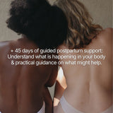 The First 45 Days Postpartum