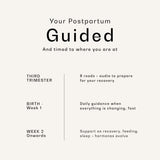 The Digital Postpartum Programme